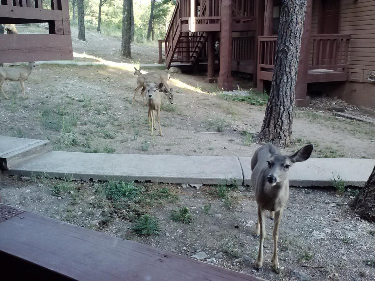 Tiara Del Sol Aparthotel Ruidoso Ngoại thất bức ảnh